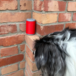 Organizer na 5 puszek | PsioCola | NOSEWORK